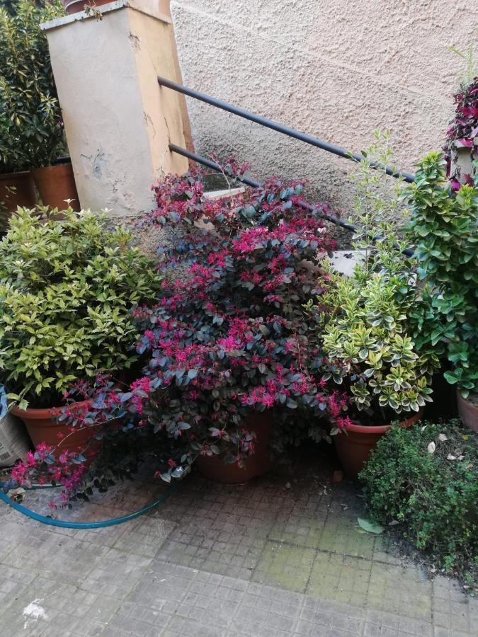 Tra Gianicolo E Trastevere Рим Екстериор снимка