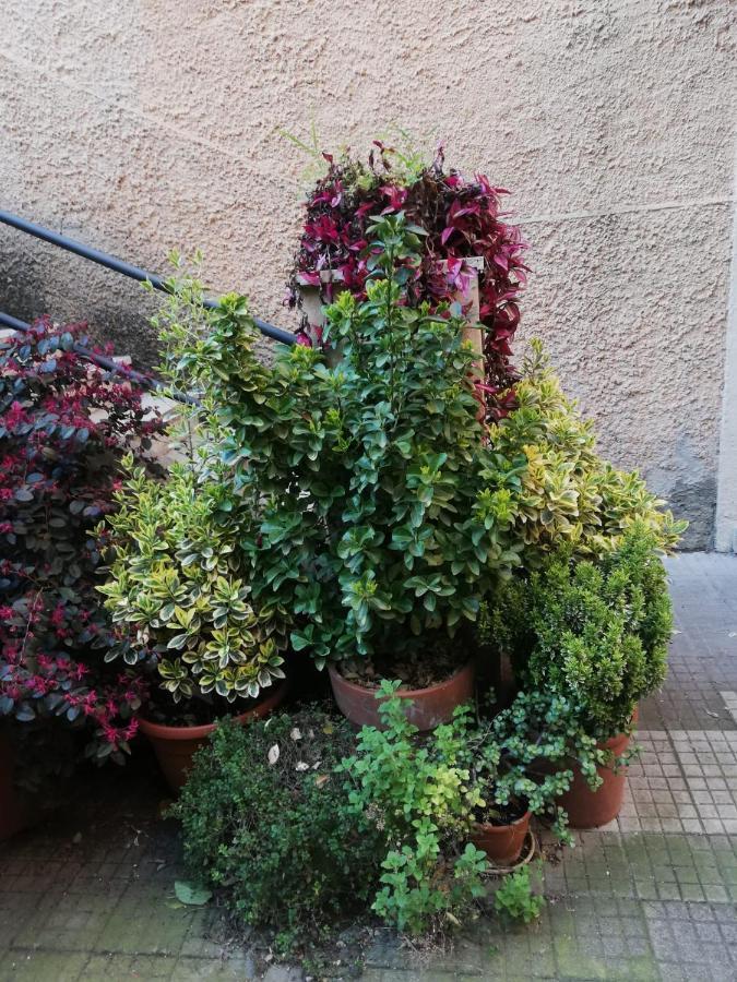 Tra Gianicolo E Trastevere Рим Екстериор снимка