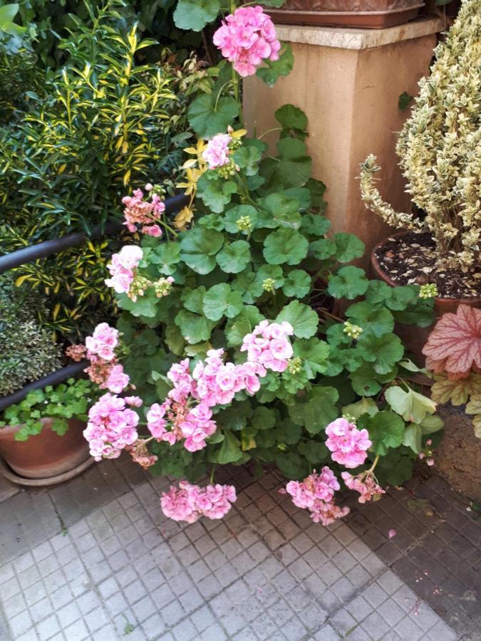 Tra Gianicolo E Trastevere Рим Екстериор снимка
